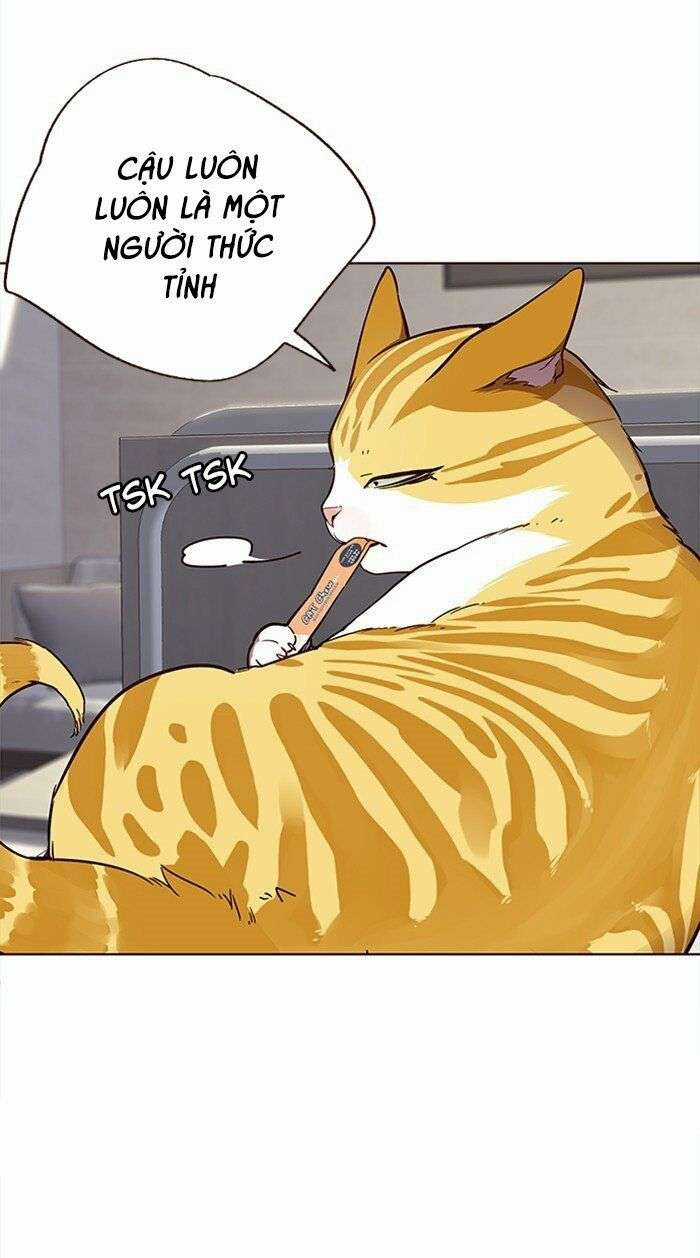 Eleceed Chapter 28 trang 17