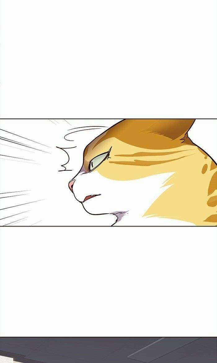 Eleceed Chapter 28 trang 22