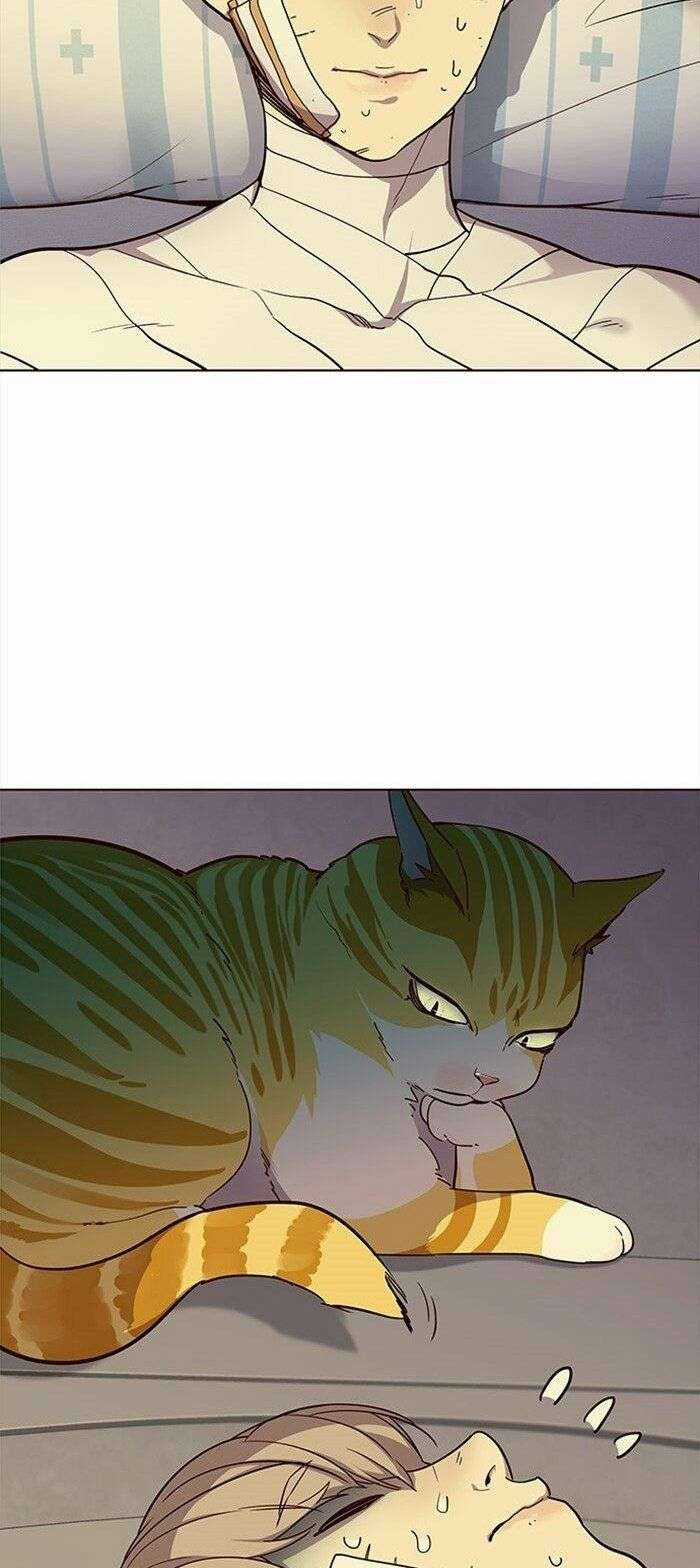 Eleceed Chapter 29 trang 12