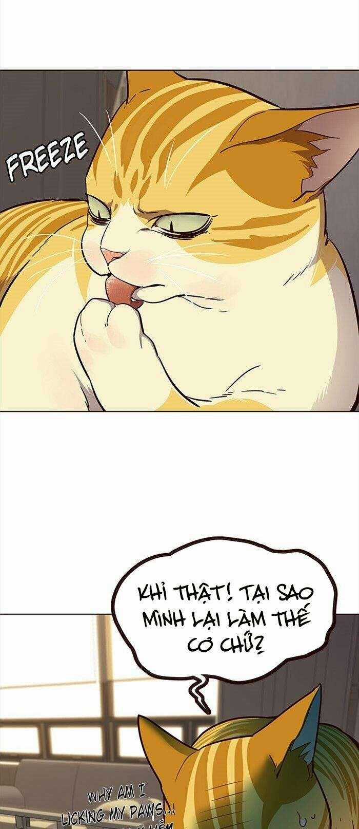 Eleceed Chapter 29 trang 19