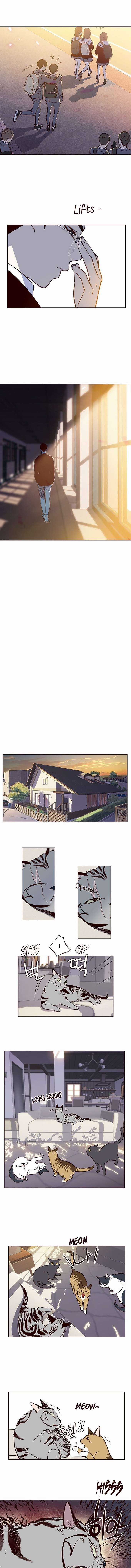 Eleceed Chapter 7 trang 7