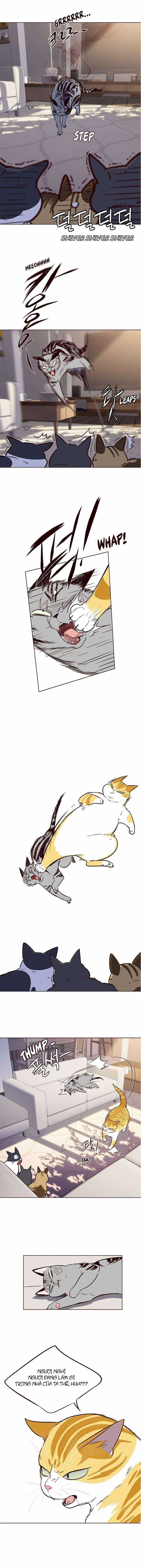 Eleceed Chapter 7 trang 9