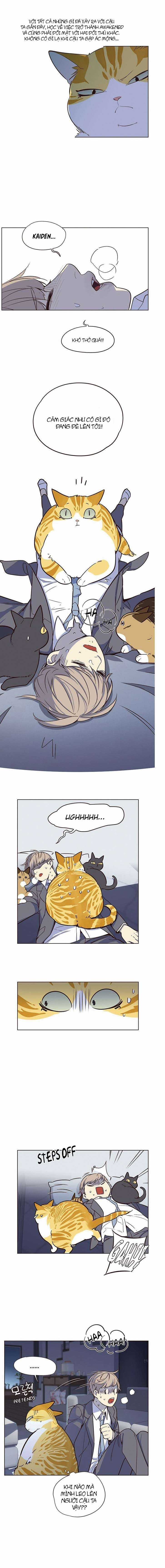 Eleceed Chapter 8 trang 4