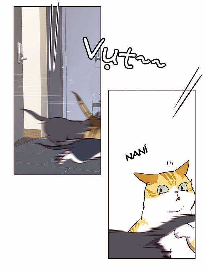 Eleceed Chapter 9 trang 24