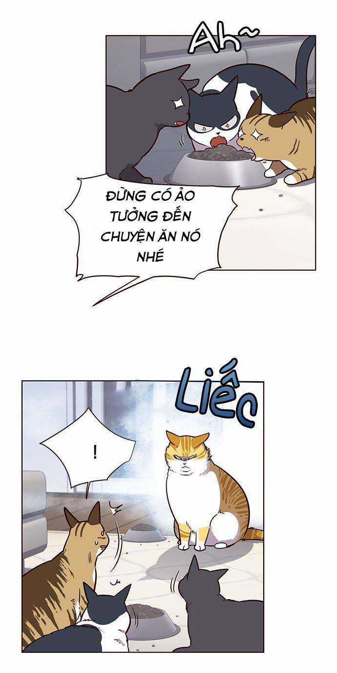 Eleceed Chapter 9 trang 26