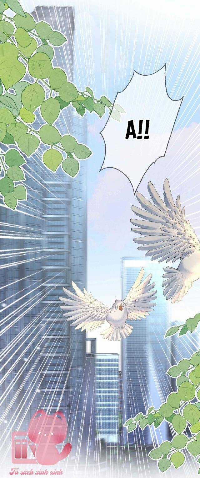 Em Chỉ Có Thể Là Của Tôi Chapter 8 trang 13