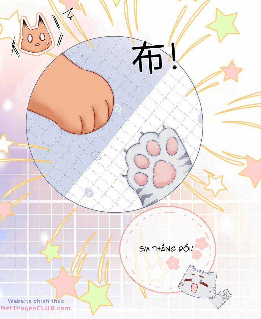 Em Chỉ Có Thể Là Của Tôi Chapter 85 trang 12