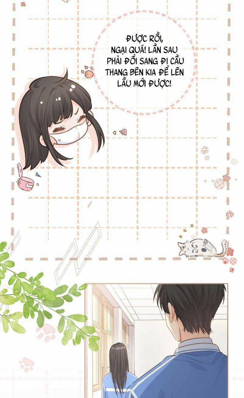 Em Chỉ Muốn Hít Vận Khí Của Anh Chapter 11 trang 13