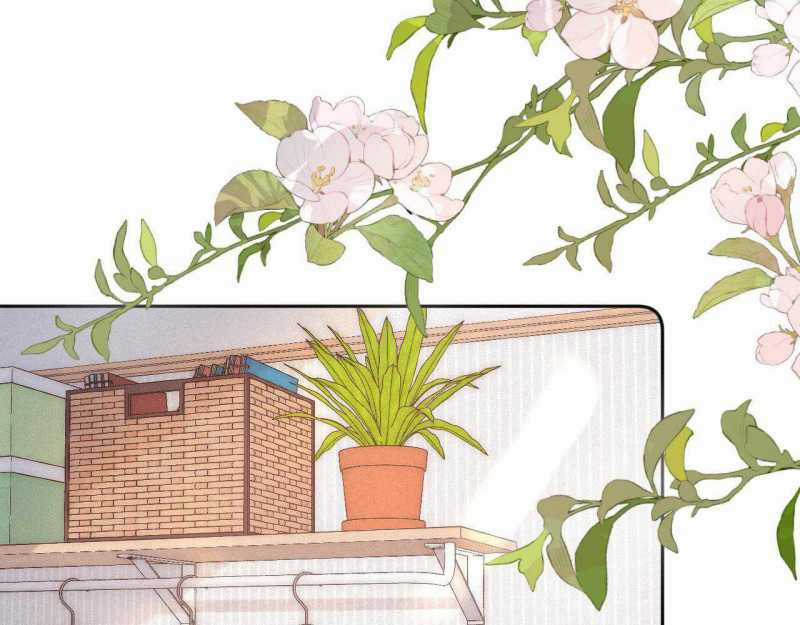 Em Đến Cùng Cơn Gió Chapter 24 trang 3