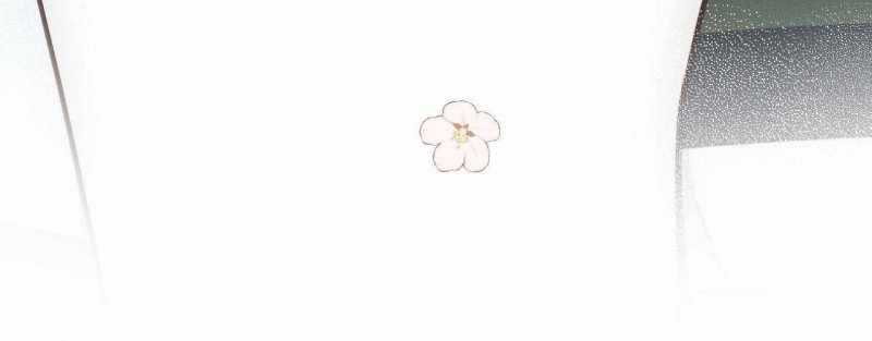 Em Đến Cùng Cơn Gió Chapter 24 trang 75