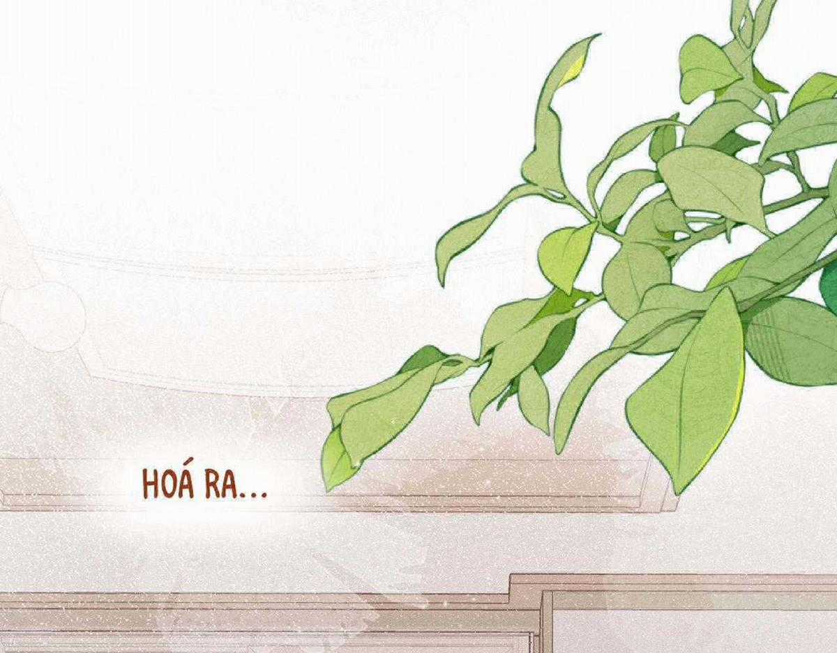 Em Đến Cùng Cơn Gió Chapter 26 trang 36