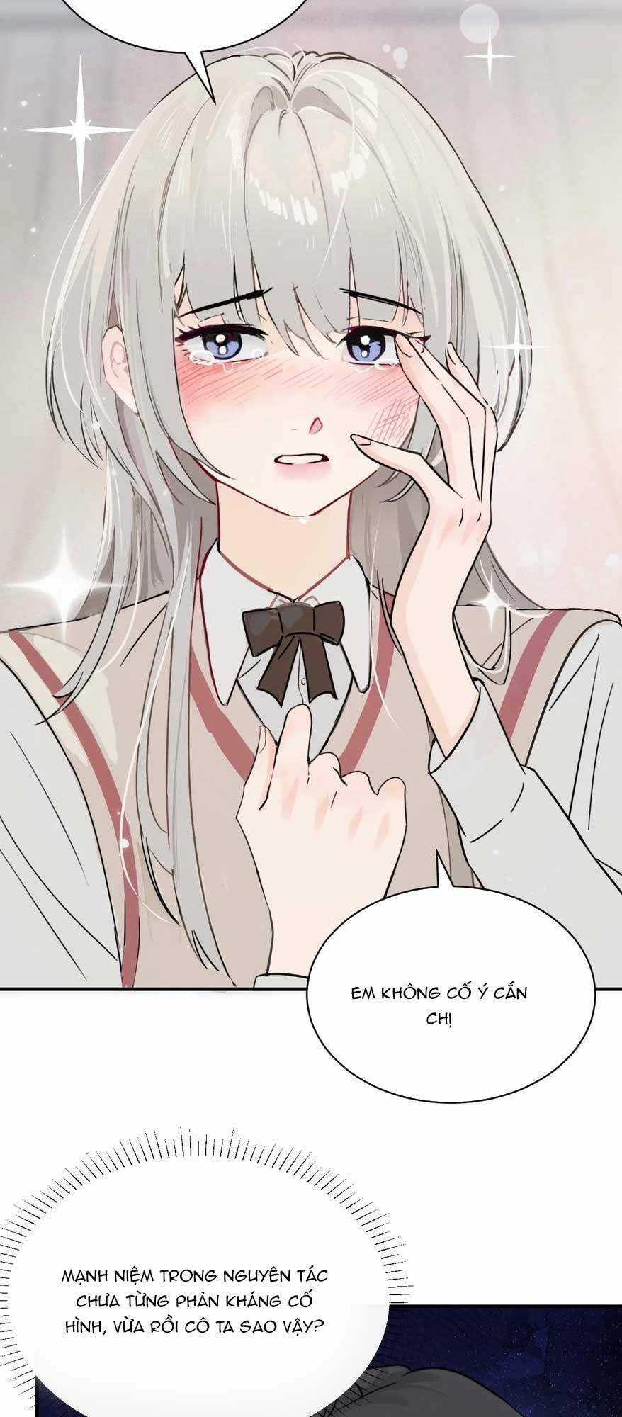 Em Gái Bệnh Hoạn Chỉ Muốn Tôi Lúc Nào Cũng Bắt Nạt Cô Ấy Chapter 13 trang 21