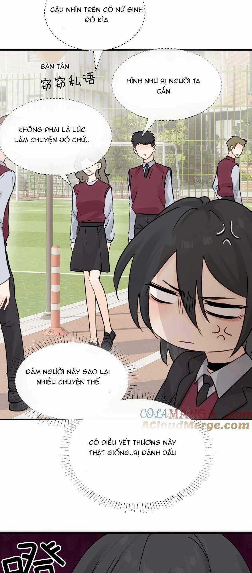 Em Gái Bệnh Hoạn Chỉ Muốn Tôi Lúc Nào Cũng Bắt Nạt Cô Ấy Chapter 14 trang 7