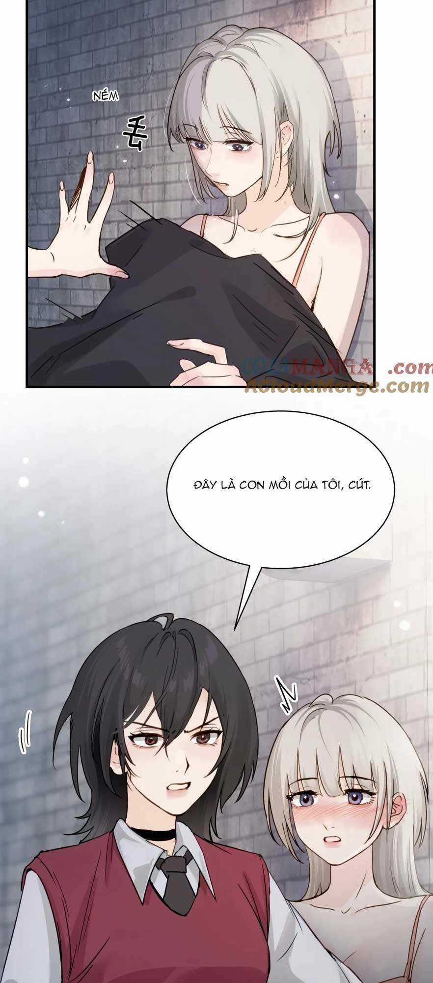 Em Gái Bệnh Hoạn Chỉ Muốn Tôi Lúc Nào Cũng Bắt Nạt Cô Ấy Chapter 17 trang 11