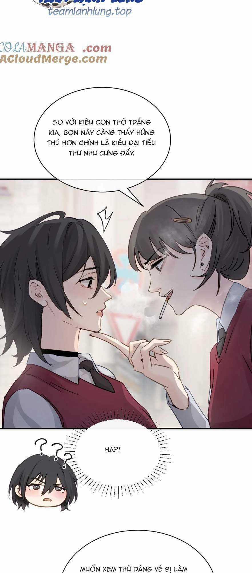 Em Gái Bệnh Hoạn Chỉ Muốn Tôi Lúc Nào Cũng Bắt Nạt Cô Ấy Chapter 17 trang 13