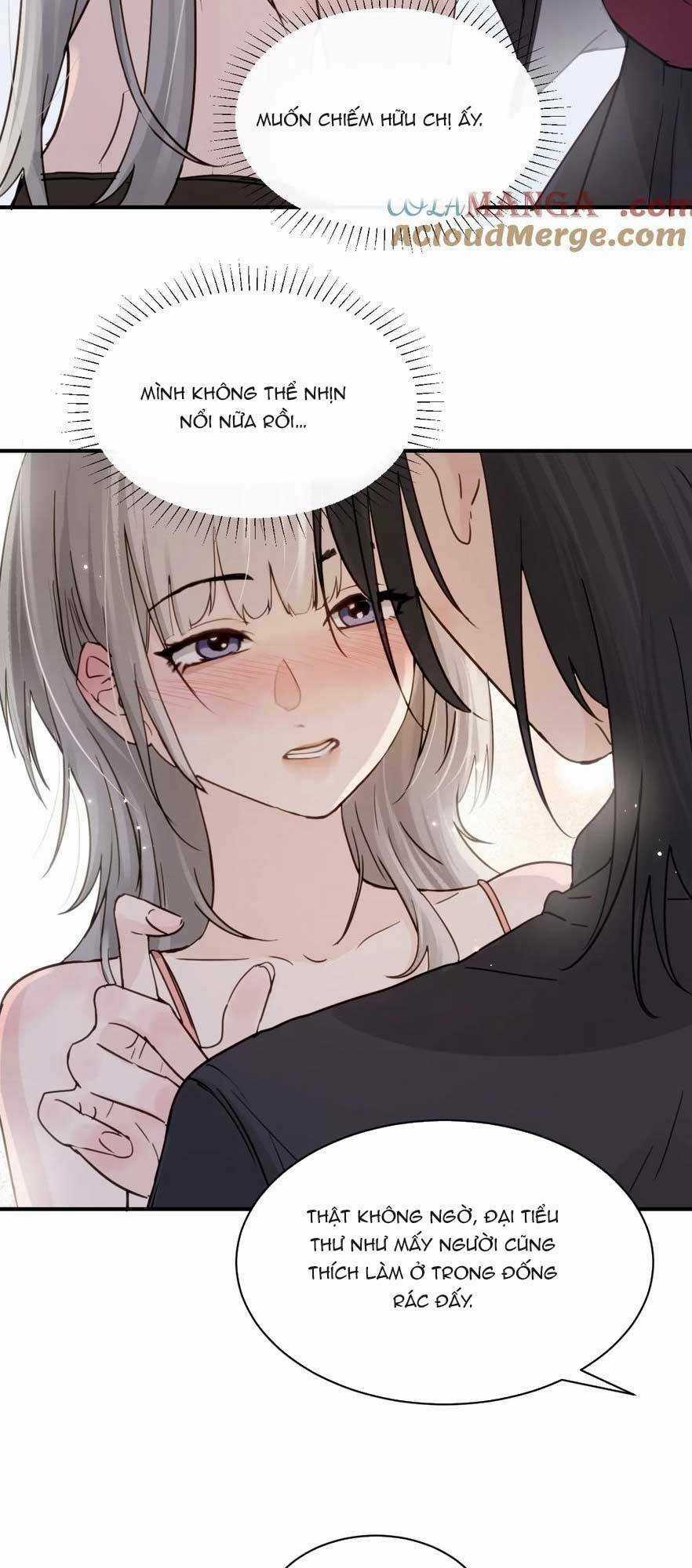 Em Gái Bệnh Hoạn Chỉ Muốn Tôi Lúc Nào Cũng Bắt Nạt Cô Ấy Chapter 17 trang 8