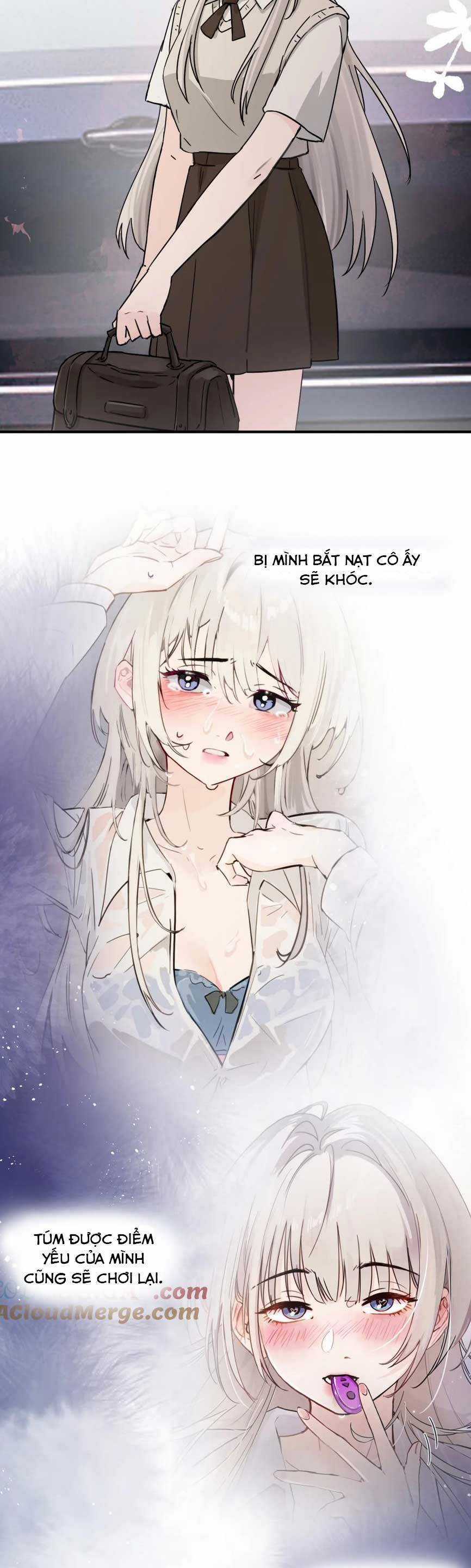 Em Gái Bệnh Hoạn Chỉ Muốn Tôi Lúc Nào Cũng Bắt Nạt Cô Ấy Chapter 24 trang 17