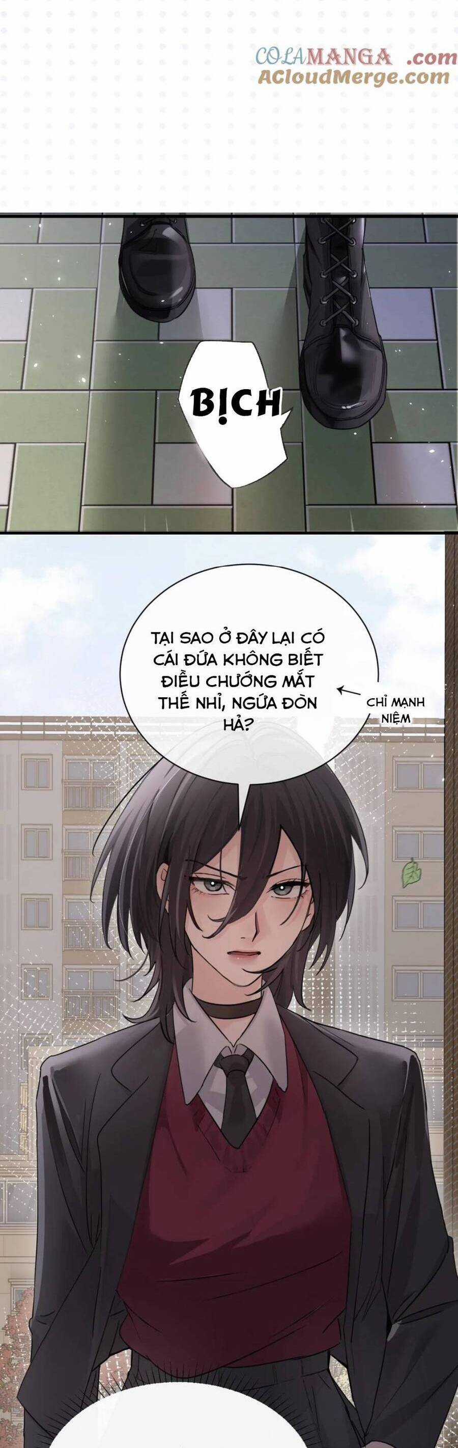 Em Gái Bệnh Hoạn Chỉ Muốn Tôi Lúc Nào Cũng Bắt Nạt Cô Ấy Chapter 41 trang 15