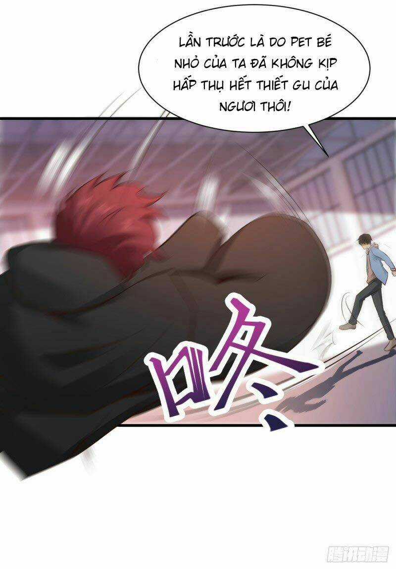 Em Gái Đừng Làm Phiền Tôi Chapter 24 trang 15