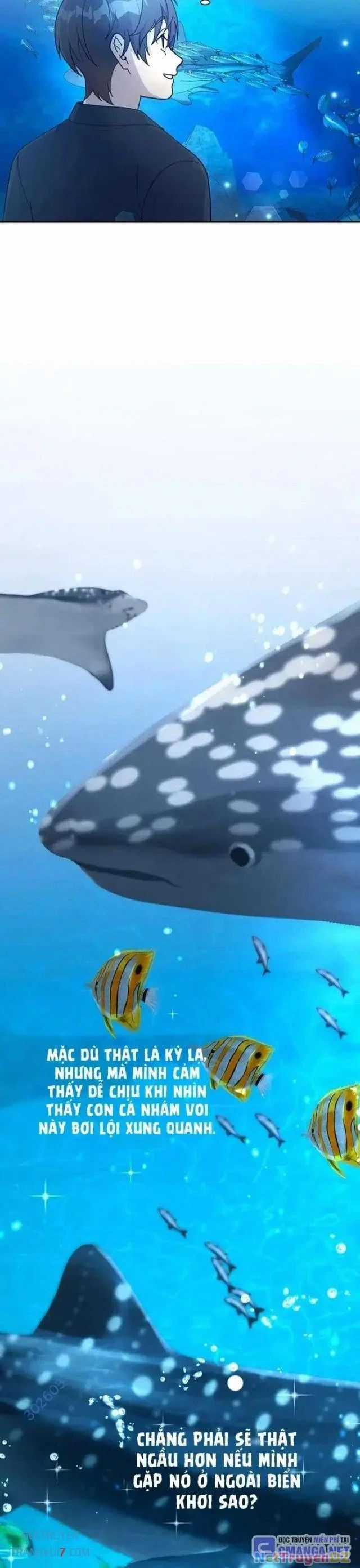 Em Gái Tôi Là Một Thiên Tài Chapter 16 trang 20