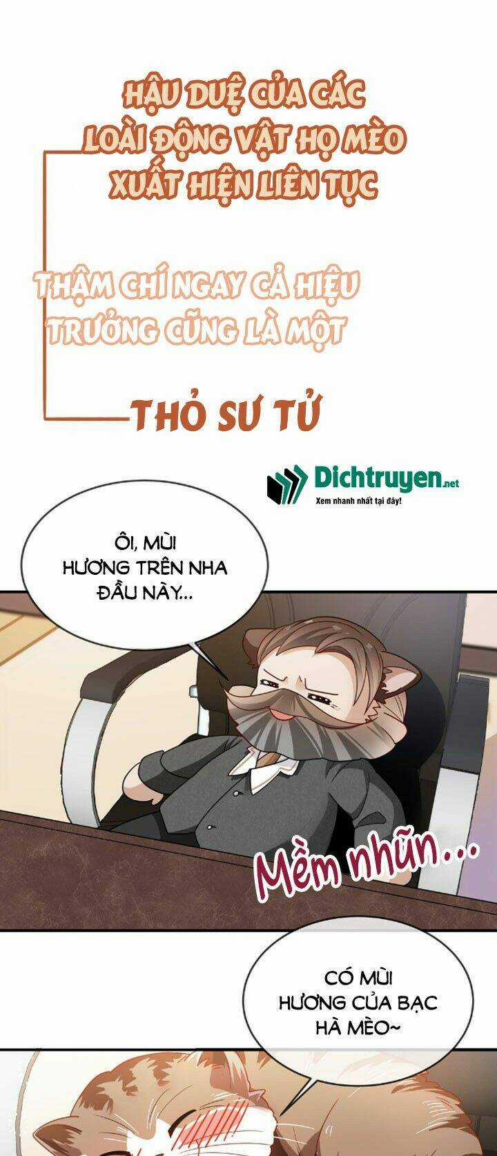 Em Là Bạc Hà Mèo Của Tôi Chapter 0 trang 10