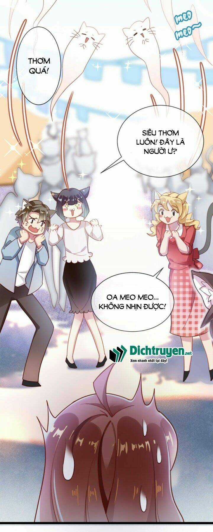 Em Là Bạc Hà Mèo Của Tôi Chapter 0 trang 3
