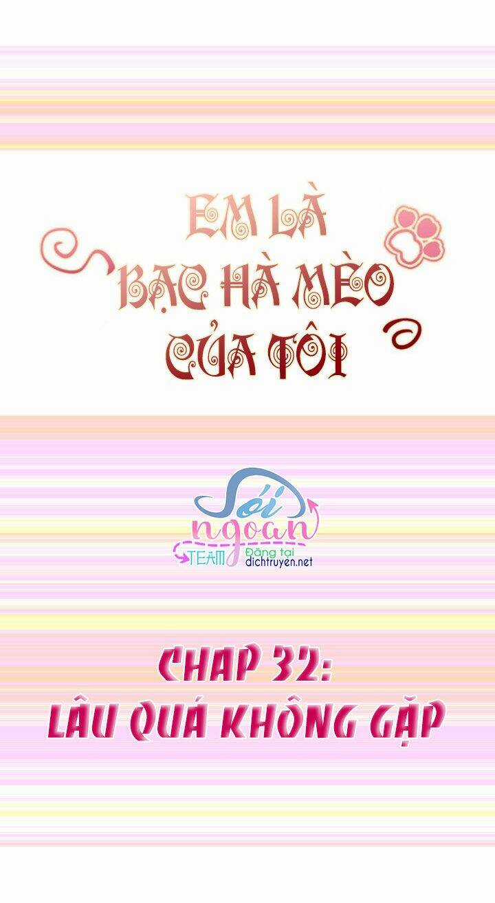 Em Là Bạc Hà Mèo Của Tôi Chapter 32 trang 0