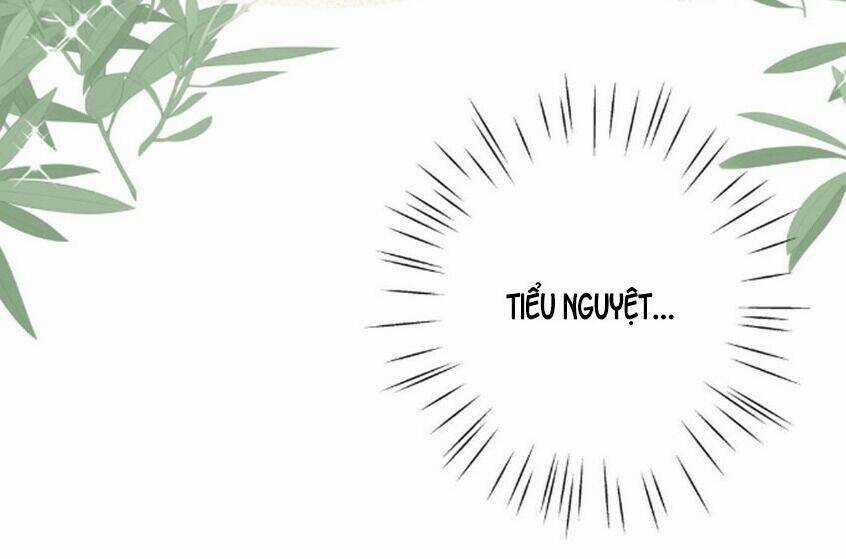 Em Là Bạc Hà Mèo Của Tôi Chapter 39 trang 21