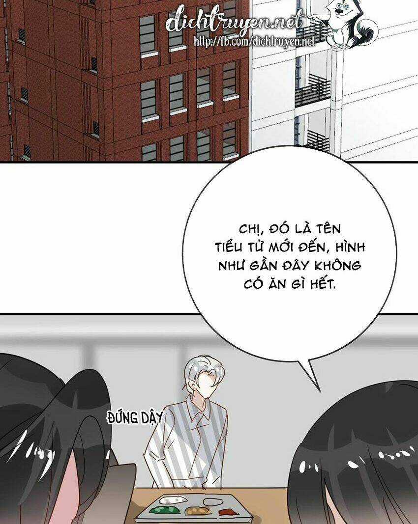 Em Là Bạc Hà Mèo Của Tôi Chapter 54 trang 2