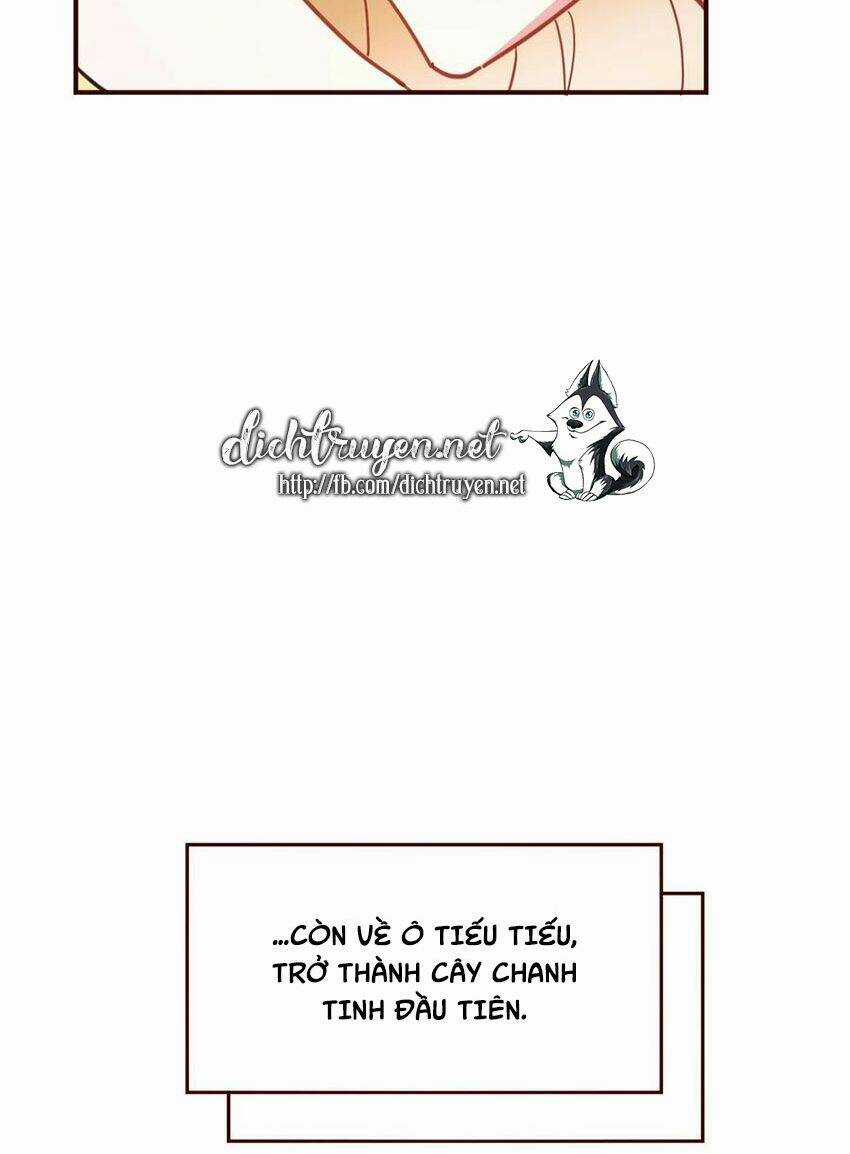 Em Là Bạc Hà Mèo Của Tôi Chapter 54 trang 24