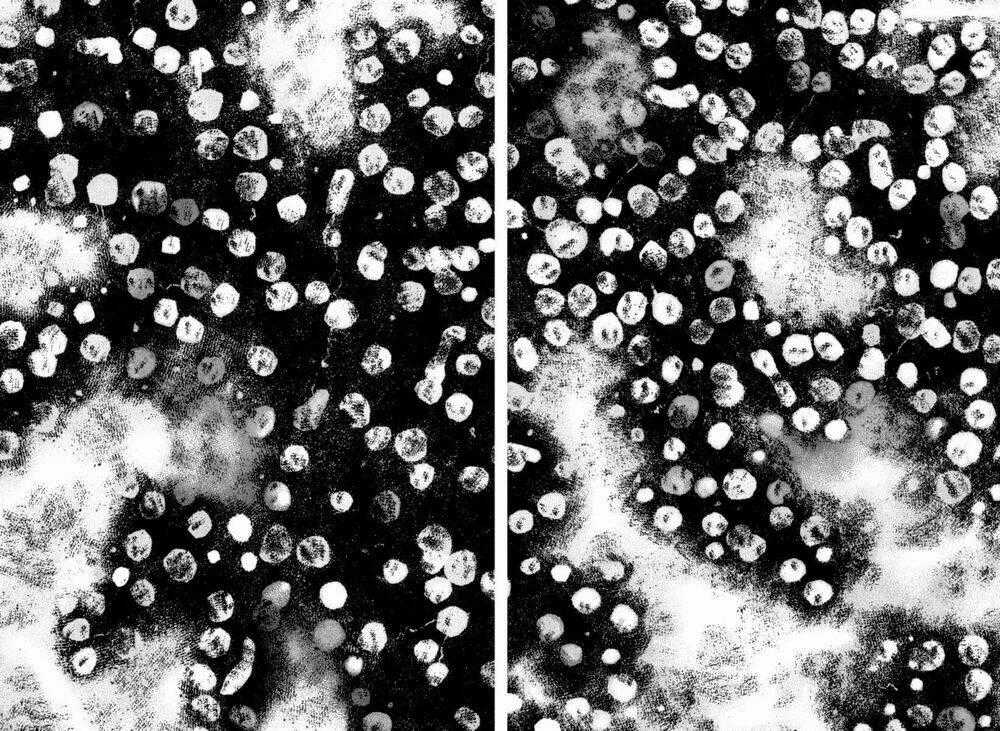 Emerging Chapter 5 trang 21