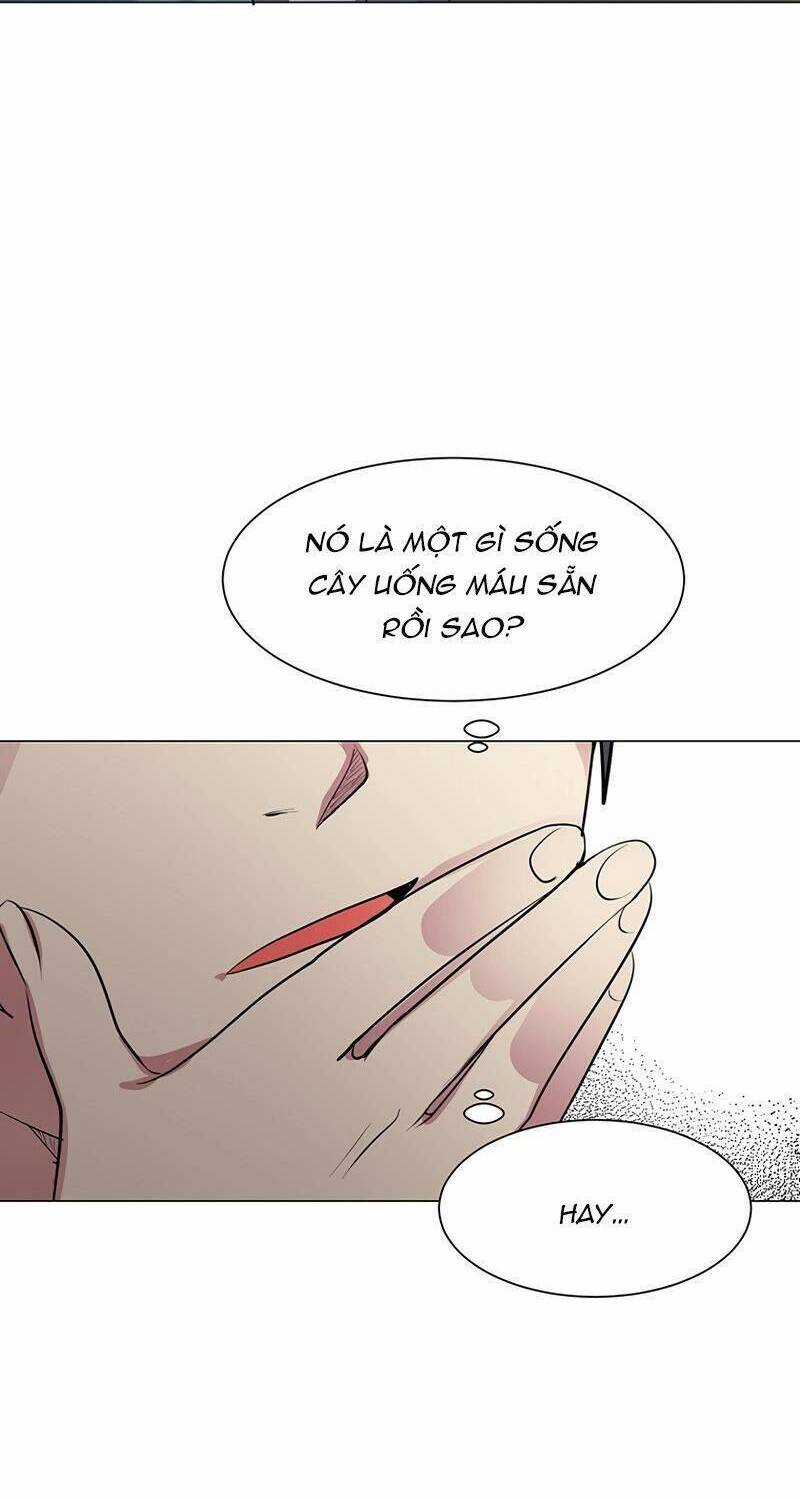 Estio Chapter 37 trang 51