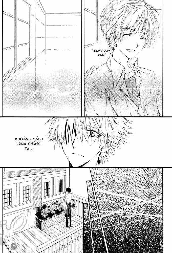 Evangelion - Mirai no Tobira Chapter 2 trang 28