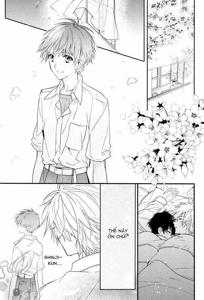 Evangelion - Mirai no Tobira Chapter 4 trang 20