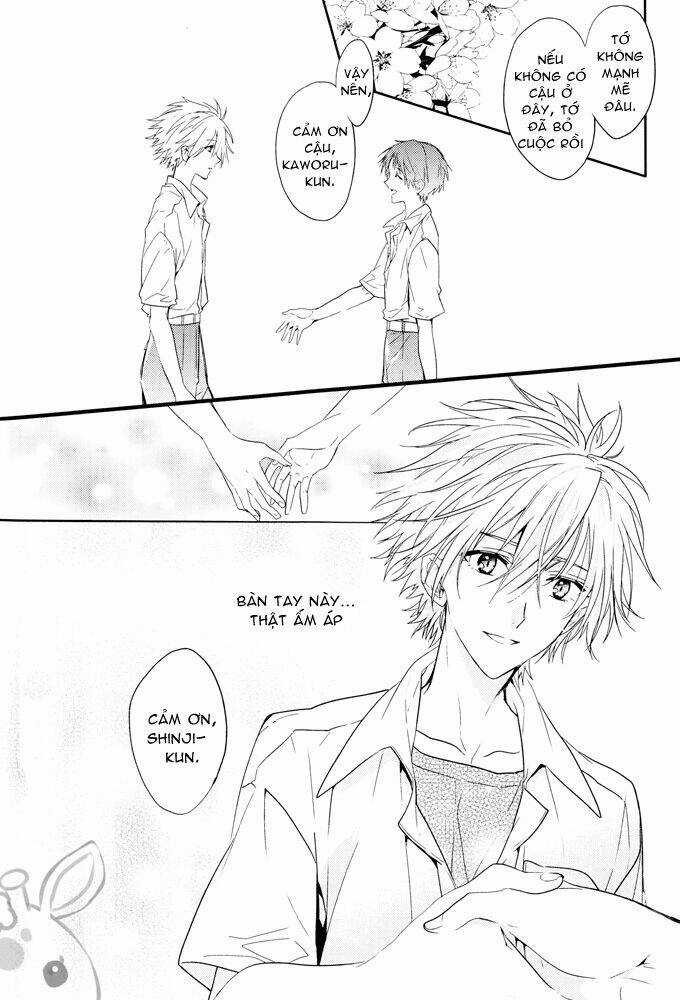 Evangelion - Mirai no Tobira Chapter 4 trang 22