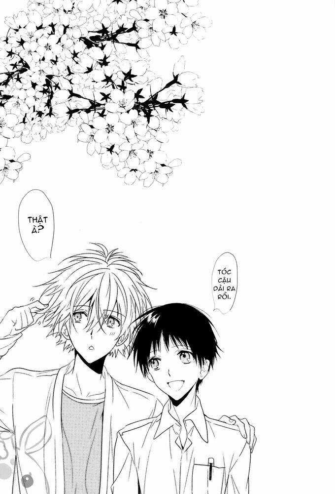 Evangelion - Mirai no Tobira Chapter 4 trang 33