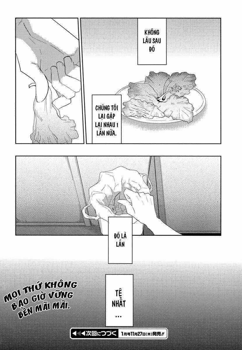 Evergreen Tea Chapter 18.2 trang 30