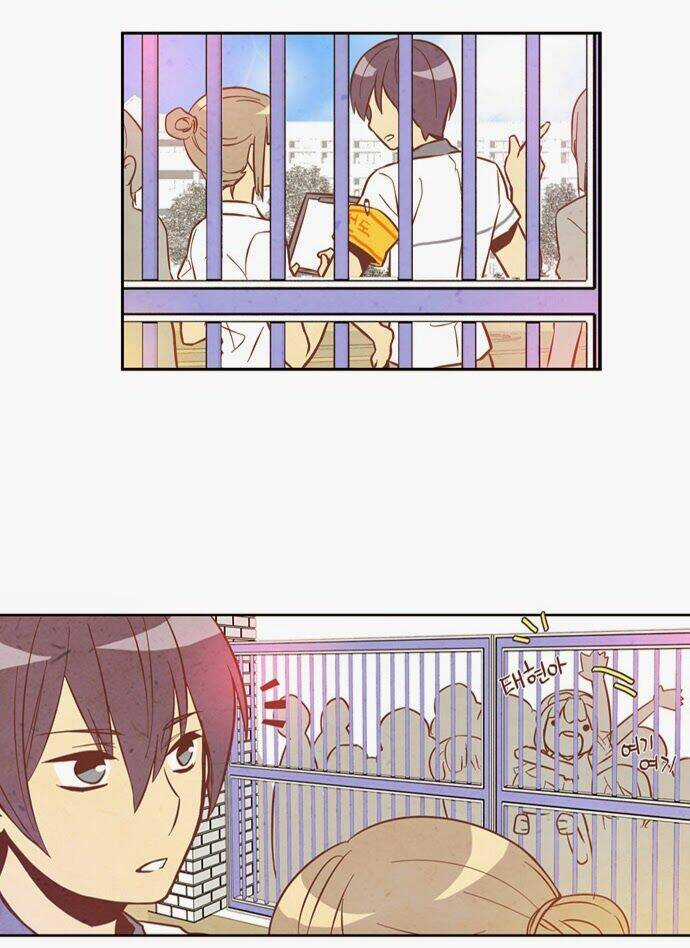 Evergreen Tea Chapter 4 trang 15