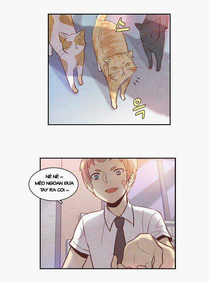Evergreen Tea Chapter 8 trang 15