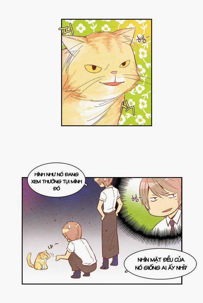 Evergreen Tea Chapter 8 trang 16