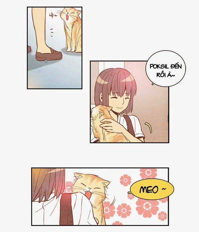 Evergreen Tea Chapter 8 trang 21