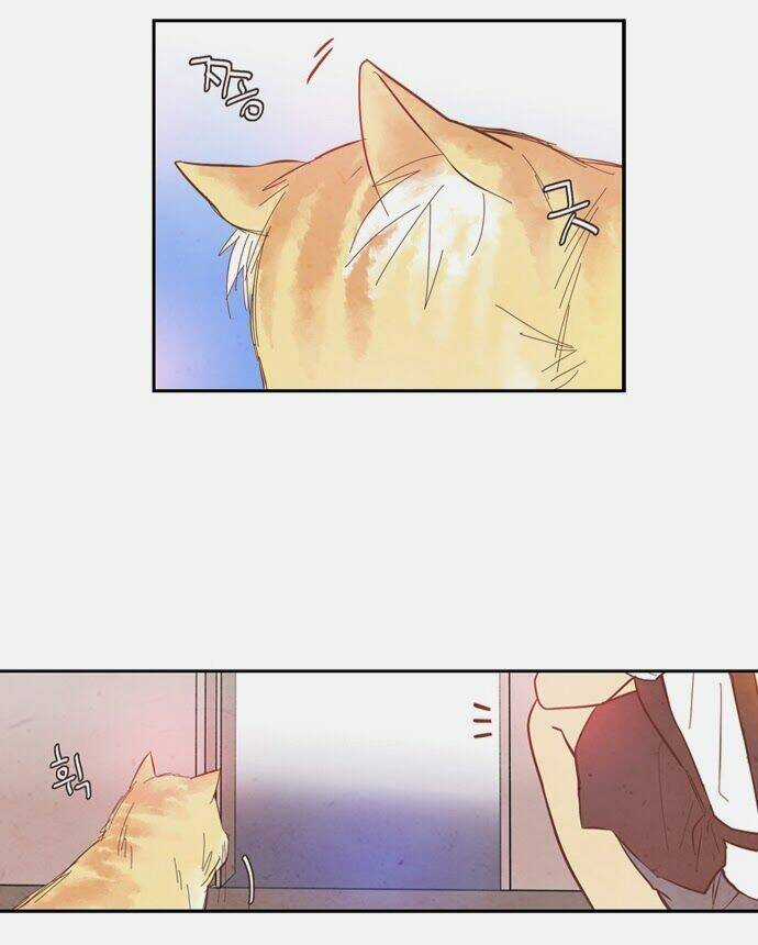 Evergreen Tea Chapter 8 trang 28