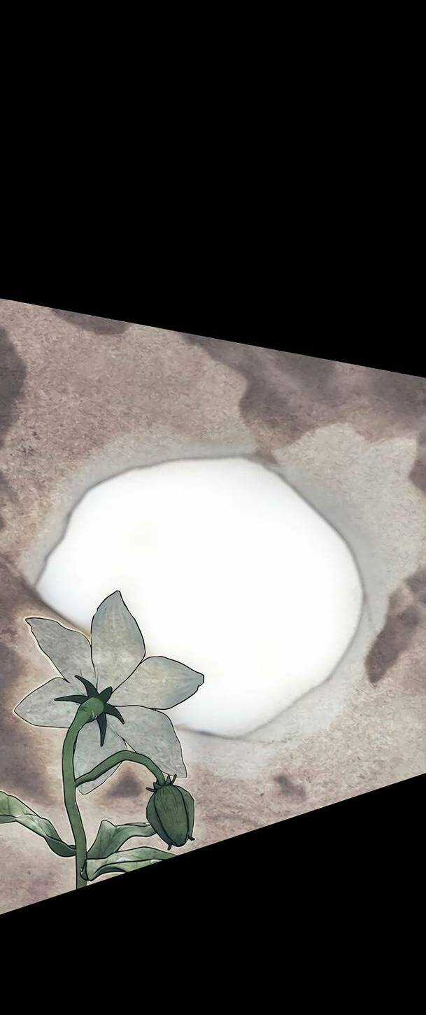 Ex & Ash Chapter 70 trang 115