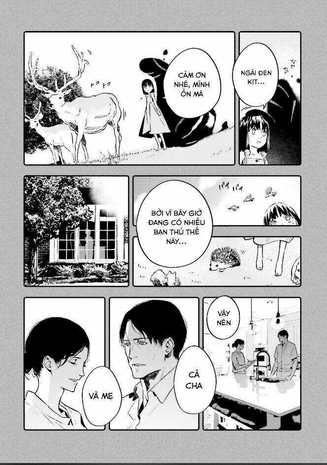 Fate/Strange Fake Chapter 24 trang 4