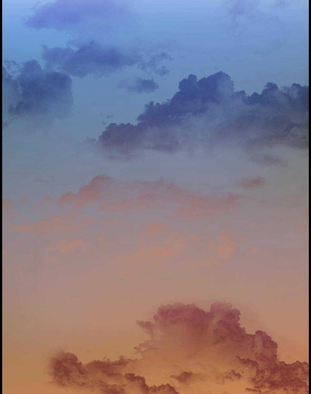 Flower War - Season 1 Chapter 2 trang 7