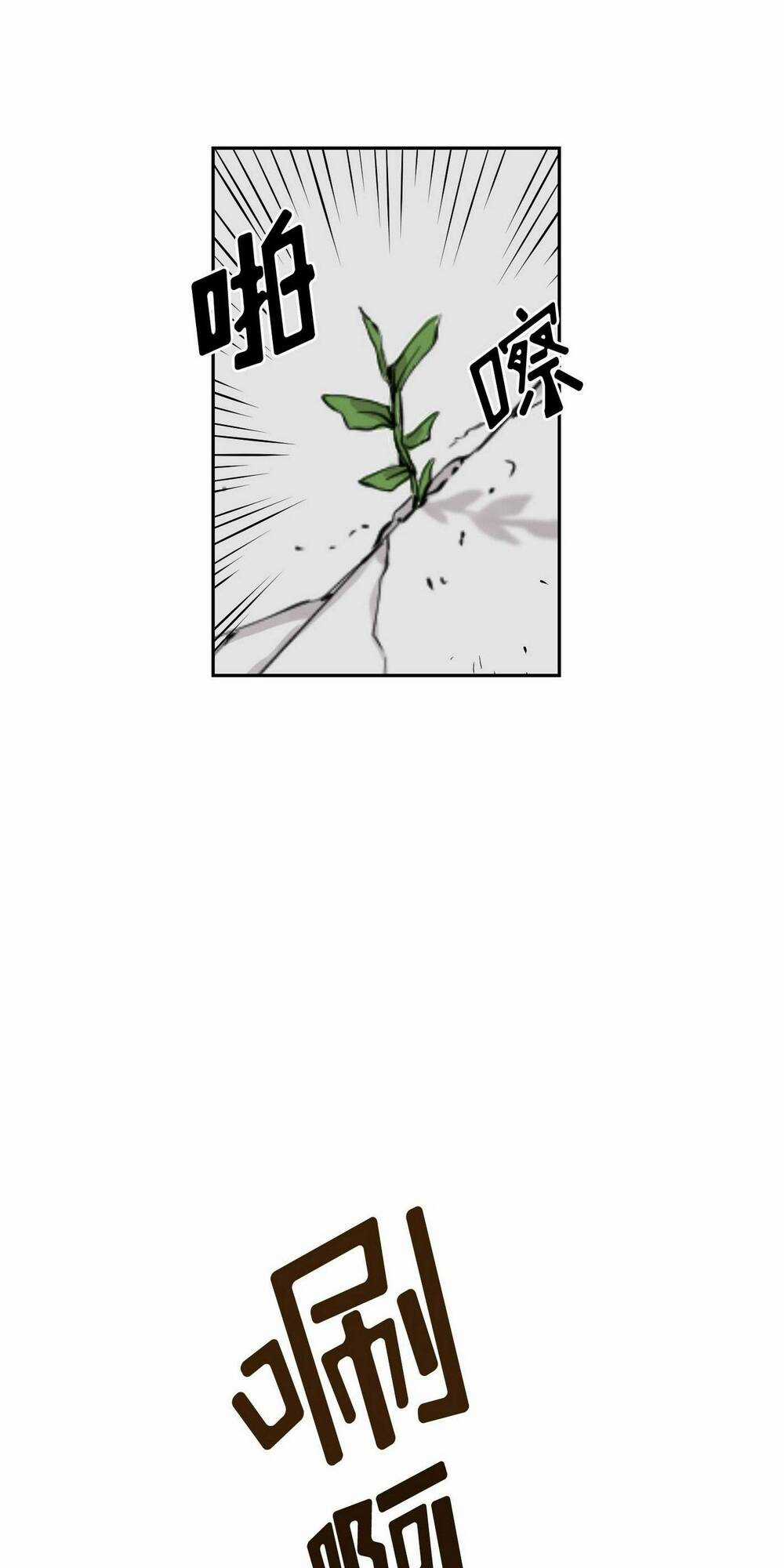 Flower War - Season 1 Chapter 9 trang 20