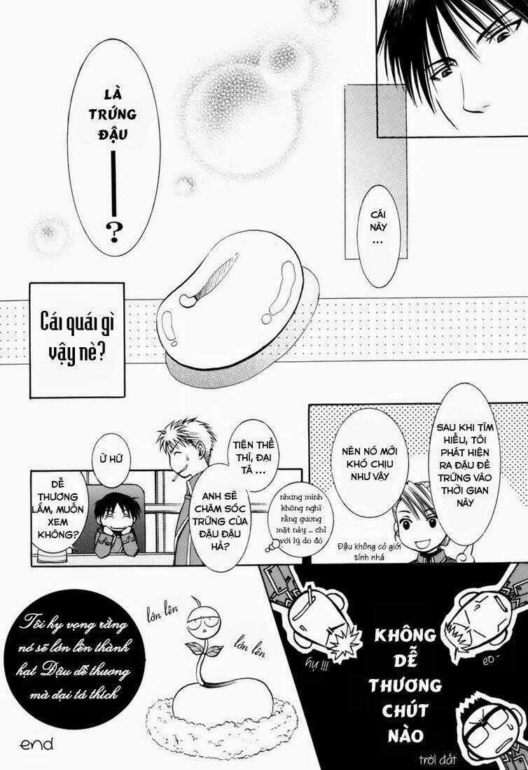 Fma Doujinshi - Mame Story Chapter 2 trang 20