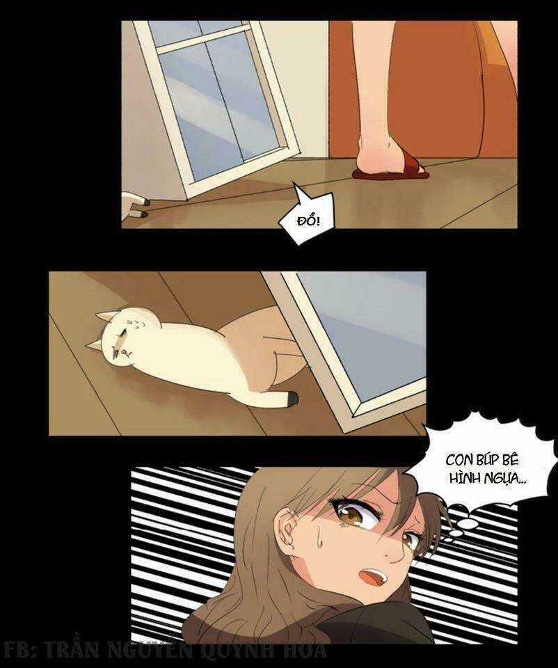 Fod Star Chapter 1 trang 4