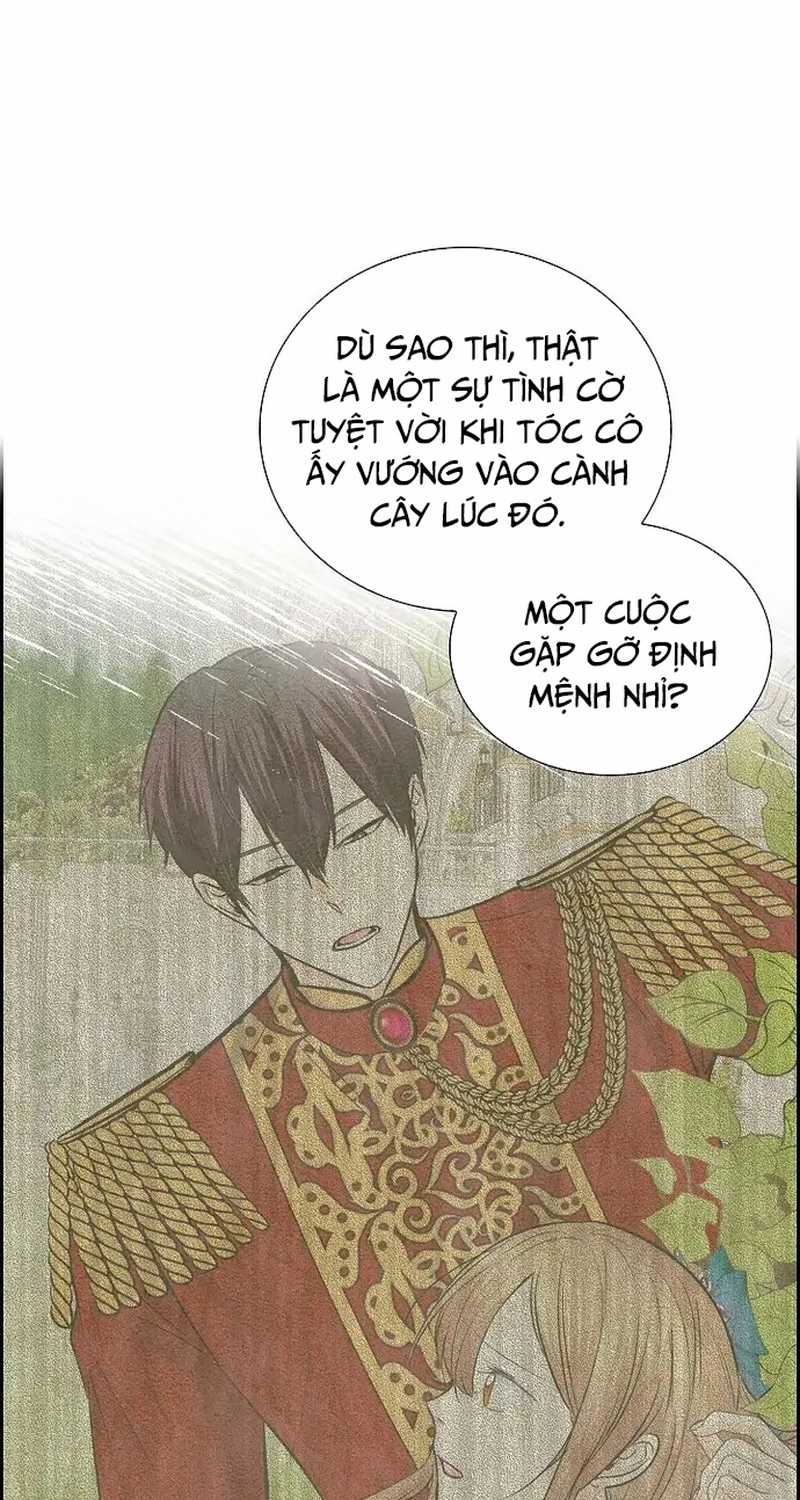 For stella - Vì Stella Chapter 39 trang 0