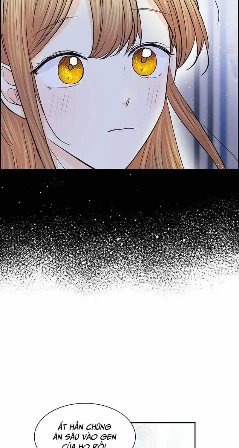 For stella - Vì Stella Chapter 50 trang 38